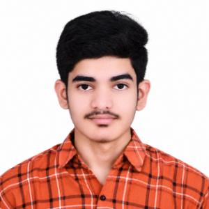 Allu Nagaseshasayan Reddy