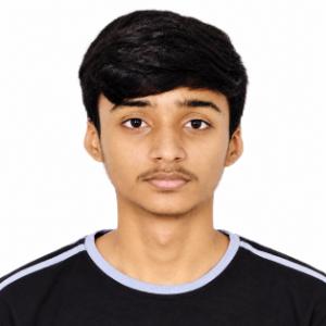 Krishaang Amarseda