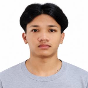 Nickson Leishangthem